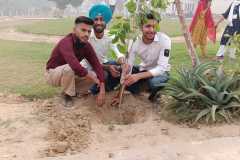 1_Plantation-2