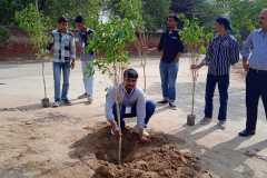 Plantation-10
