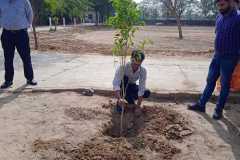 Plantation-11