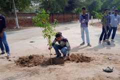 Plantation-12