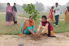 Plantation-5