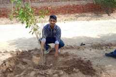 Plantation-7