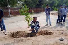 Plantation-8