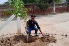 Plantation-9